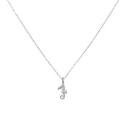 Collar Caballito De Mar