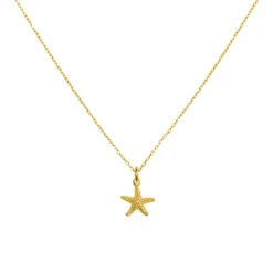 Collar Estrella Mar