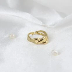 Anillo Trenatto 9 Anillo Trenatto -alvent Tienda de ventas IMG 7311