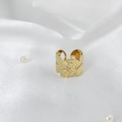 Anillo Riscco -alvent Tienda de ventas IMG 7322