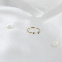 Anillo Sofisticato 5 Anillo Sofisticato -alvent Tienda de ventas IMG 7325